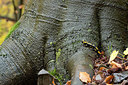 BUITEN BEELD Foto: 306076