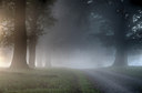 BUITEN BEELD Foto: 306251