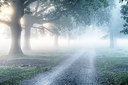 BUITEN BEELD Foto: 306252