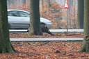 BUITEN BEELD Foto: 306254