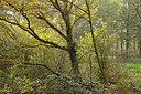BUITEN BEELD Foto: 306311