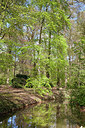BUITEN BEELD Foto: 306347