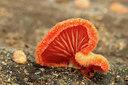 BUITEN BEELD Foto: 306373