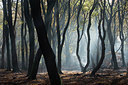 BUITEN BEELD Foto: 306395