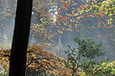 BUITEN BEELD Foto: 306401