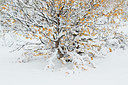BUITEN BEELD Foto: 306411