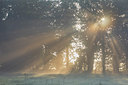 BUITEN BEELD Foto: 306451