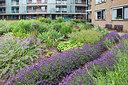 BUITEN BEELD Foto: 306483