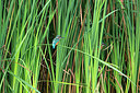 BUITEN BEELD Foto: 306530