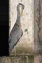 BUITEN BEELD Foto: 306537