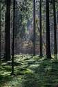 BUITEN BEELD Foto: 306564