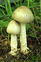 BUITEN BEELD Foto: 306573