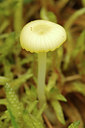 BUITEN BEELD Foto: 306584