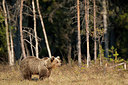 BUITEN BEELD Foto: 306629