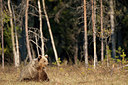 BUITEN BEELD Foto: 306630
