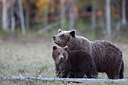 BUITEN BEELD Foto: 306643