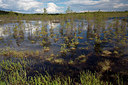 BUITEN BEELD Foto: 306663
