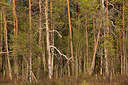 BUITEN BEELD Foto: 306664