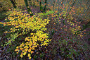 BUITEN BEELD Foto: 306690