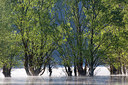 BUITEN BEELD Foto: 306747