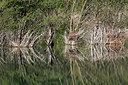 BUITEN BEELD Foto: 306750