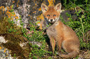 BUITEN BEELD Foto: 306757