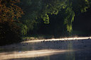 BUITEN BEELD Foto: 307011