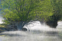 BUITEN BEELD Foto: 307045