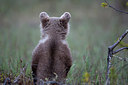 BUITEN BEELD Foto: 307052