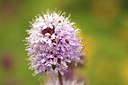 BUITEN BEELD Foto: 307056