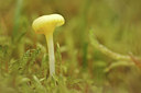 BUITEN BEELD Foto: 307072