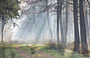 BUITEN BEELD Foto: 307125