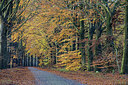 BUITEN BEELD Foto: 307130