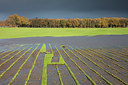 BUITEN BEELD Foto: 307157
