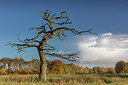 BUITEN BEELD Foto: 307174