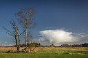 BUITEN BEELD Foto: 307175