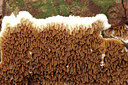 BUITEN BEELD Foto: 307199