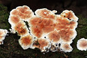 BUITEN BEELD Foto: 307201