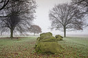 BUITEN BEELD Foto: 307266