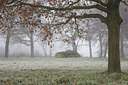 BUITEN BEELD Foto: 307268