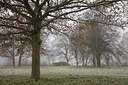 BUITEN BEELD Foto: 307269