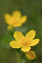 BUITEN BEELD Foto: 307284