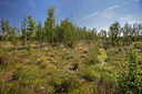 BUITEN BEELD Foto: 307313