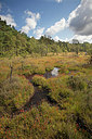 BUITEN BEELD Foto: 307322