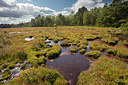 BUITEN BEELD Foto: 307325