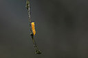 BUITEN BEELD Foto: 307369
