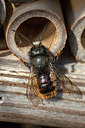 BUITEN BEELD Foto: 307382