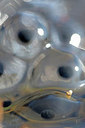 BUITEN BEELD Foto: 307390