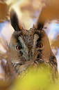 BUITEN BEELD Foto: 307410
