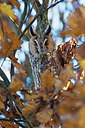 BUITEN BEELD Foto: 307412